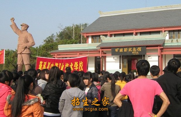 學(xué)?；顒?dòng)