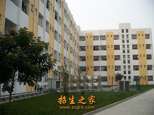校園風光