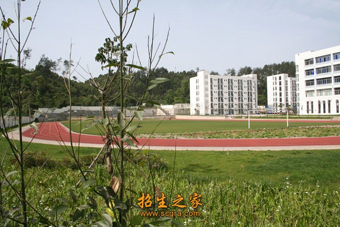 學(xué)校操場