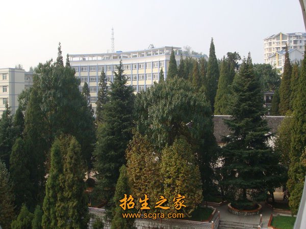 學校風景