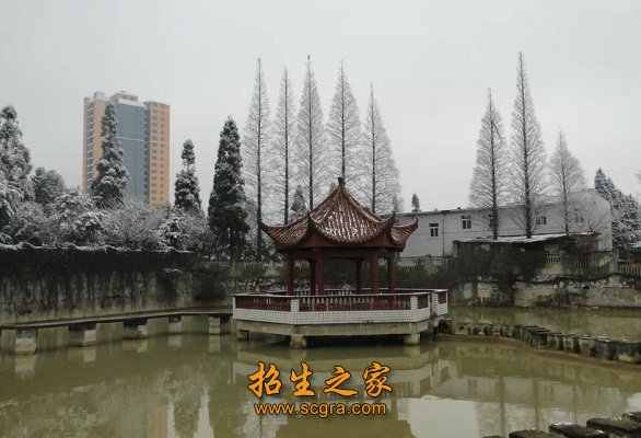 校園雪景