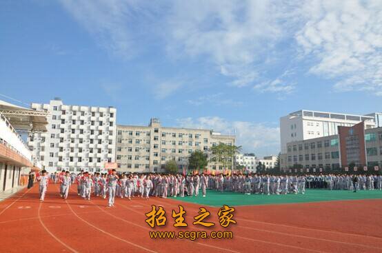 學(xué)?；顒?dòng)
