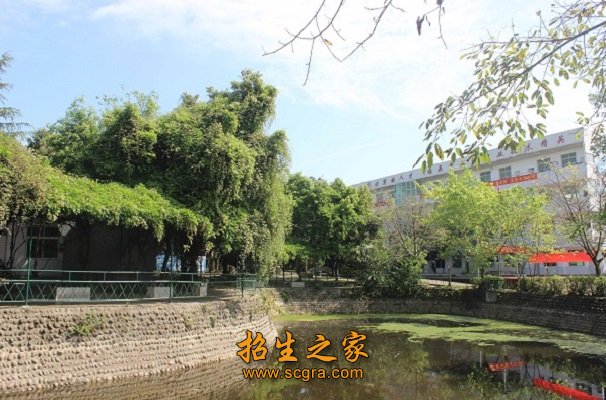 學(xué)校風(fēng)景