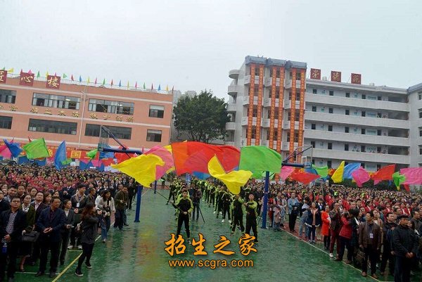 學(xué)?；顒?dòng)