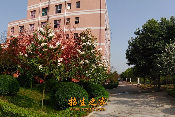 校園風(fēng)光