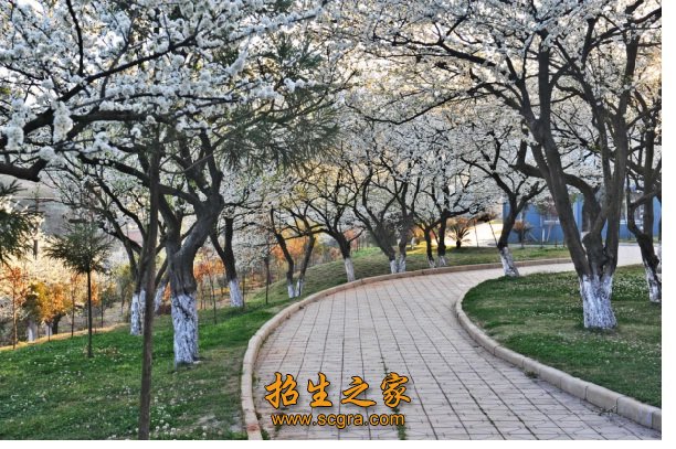 云南農(nóng)業(yè)職業(yè)技術(shù)學(xué)院2018年招生簡章