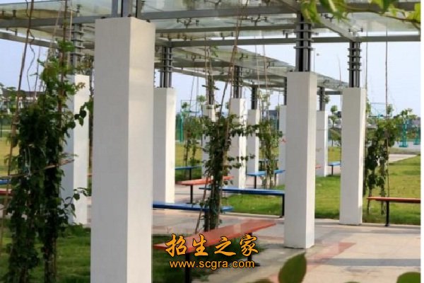 成都藝術(shù)職業(yè)學(xué)院開設(shè)專業(yè)和報(bào)考條件是什么