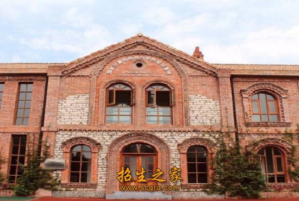 四川國際標(biāo)榜職業(yè)學(xué)院2018年招生計劃和招生要求