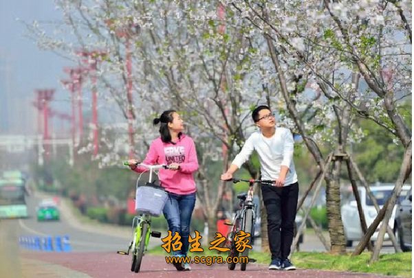 眉山職業(yè)技術(shù)學院開設(shè)專業(yè)_升學渠道