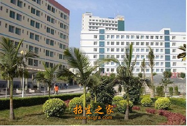 四川省攀枝花衛(wèi)生學(xué)校2018年招生計劃_專業(yè)就業(yè)