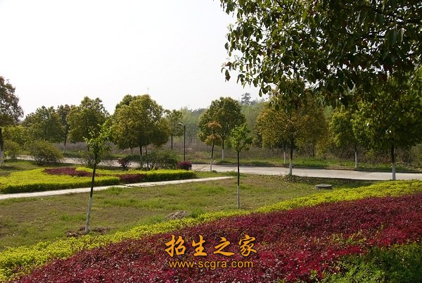 隨州職業(yè)技術(shù)學院