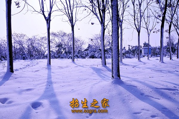 學校環(huán)境