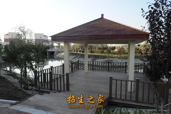 南京曉莊學(xué)院