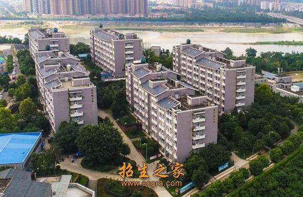 學校