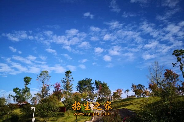 學校環(huán)境