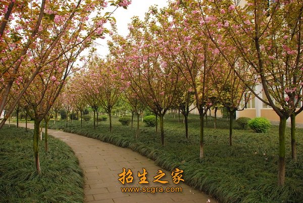 學校環(huán)境