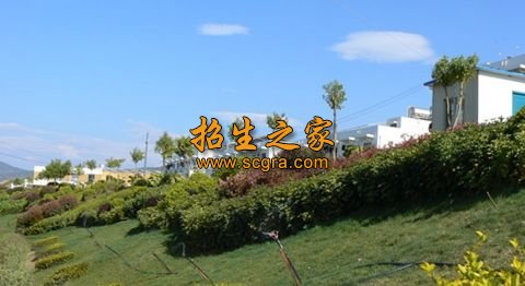 云南省楚雄高級技工學校