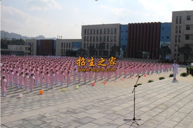 黔南民族醫(yī)學(xué)高等?？茖W(xué)校