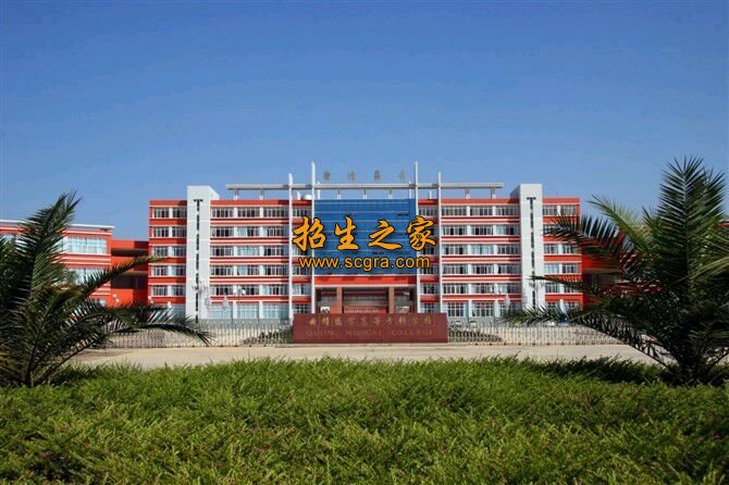 保山中醫(yī)藥高等?？茖W(xué)校