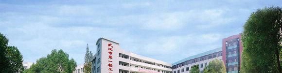 湖北技工中職學(xué)校、中專