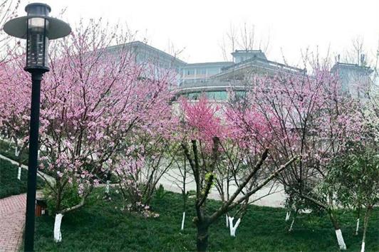 四川愛華職業(yè)學(xué)院辦學(xué)性質(zhì)、招生要求