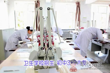 成都市衛(wèi)校招生要求？