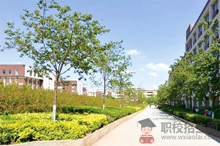 初中生必看：挑選專業(yè)以及學校的重要性