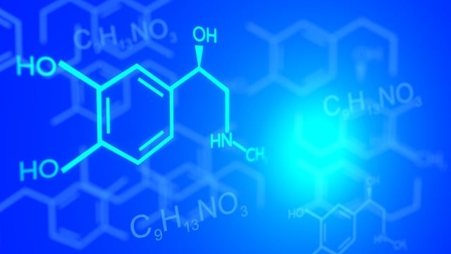 達縣計算機職業(yè)高級中學(xué)2025年宿舍條件如何